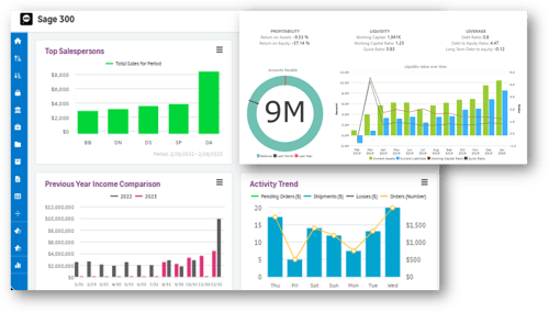 Sage 300- Software ERP